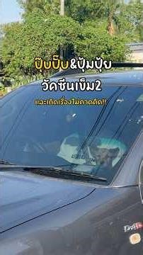 กำลังไปฉีดวัคซีนแต่เกิดเรื่อง!! #ปุ๊บปั๊บปุ้มปุ้ย #สัตว์โลกน่ารัก #หมาน่ารัก #สัตว์เลี้ยง #หมา