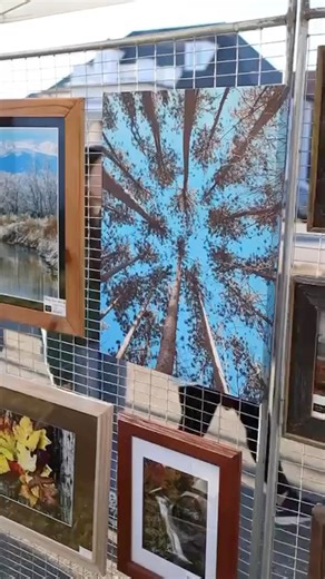 10K views · 106 reactions | Join Us for the kick off of Murphy Art...