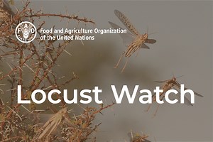 Locust Control with biopesticides