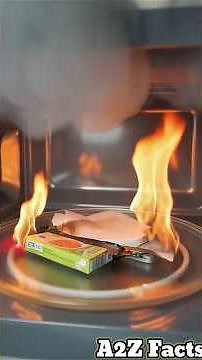 Never Put Metal in Microwave Sparks Fire and Explosion Warning A2Z Facts #facts #explosion #physics