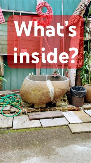 🔍 What’s Hiding Inside This Tank? Unexpected Surprise!