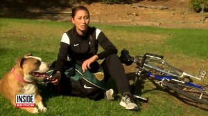 These are stories about dogs on the | Inside Edition