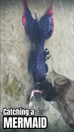 How to Catch a Mermaid (specifically, Mermaid Shadow)