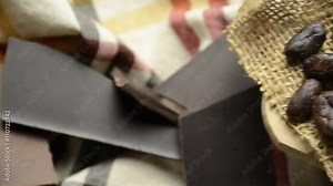 Theobroma cacao Cocoa Kakao Kakaobaum Κακαόδεντρο 카카오 Cacaoboom Kakaowiec właściwy 可可樹 Какао