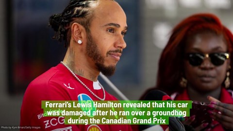 Hamilton Hits Groundhog In “Devastating” Incident At Canadian GP