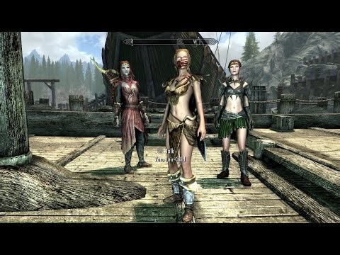 Elder Scrolls 5 Skyrim Mod Interesting NPCs (Four Beautiful and Sexy Warriors)