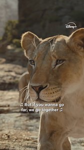 🎶So good, so far, we go together🎶 Mufasa: The Lion King, now streaming on Disney 🦁👑 | Walt Disney Studios