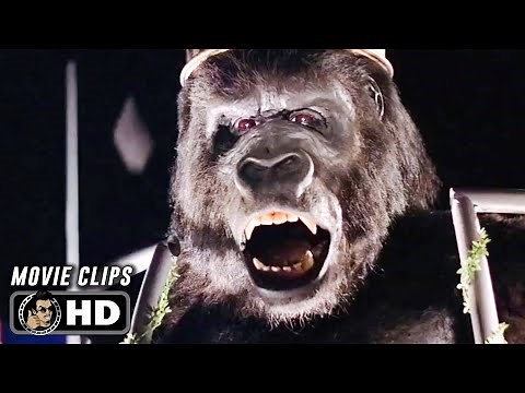 KING KONG "New York" Clips (1976)