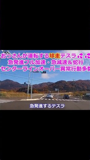 おっさんが運転する珍走テスラ💀急発進フル加速💦急減速蛇行💨センターラインオーバー異常行動多数・・・