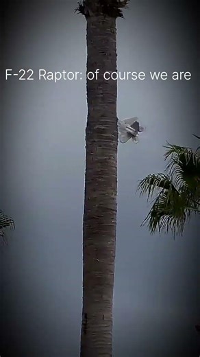 F-22 Raptor vs F-35 lightning