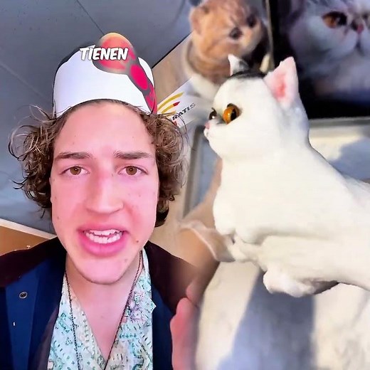 La verdad sobre HELLO KITTY… 😈😱💖