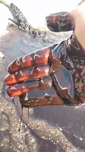 اقوي المواد المستخدمة في اعلاف المواشي الفيناس مفيد للعجول التسمين والحلاب ،اضافة الفيناس cms للاعلاف كمصدر للطاقة وجزء بسيط من اليوريا ،كمصدر ،للبروتين ،وجميع العناصر المعدنية التي يحتاجها الحيوان وهي ،المنجنيز ،الماغنسيوم ،الكوبلت ،النحاس ،الزنك ،اليود ،الحديد، البوتاسيوم ، وايضا الفوسفور ،ويزيد من انتاج اللبن بروتين 15% بوتاسيوم 5,3% بيتاين 11,2% جمعة شعبان لنقل وتوريد الفيناس cms البحيرة مدينة النوبارية 01000126629/// 01012151350 | الريف المصري