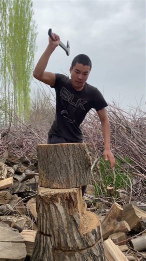 One-Hand Wood Splitter