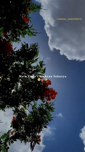 Teri Aayi Je Kade Main Mar Jaavan Sohneya | Main Enna Chahvan Sohneya🥹 | #shorts #aesthetic #lyrics
