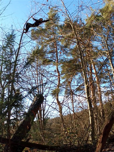 Primal Parkour Workout Plan for Strength and Agility