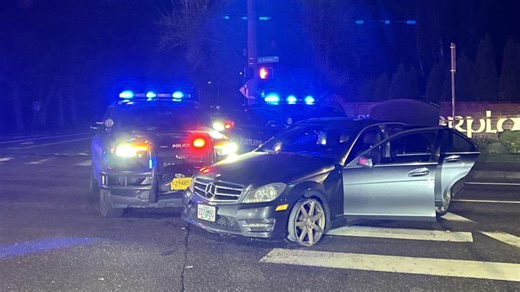 3 teens arrested after Rocky Butte shooting, police chase