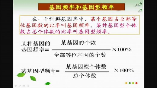 基因频率和基因型频率相关计算微课