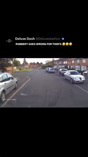 DeluxeDash | Dashcam’s & Accessories 📷 on Instagram: "LMFAO THE END 😂😂😂 #dash #dashcam #dashcamera #viral #trending #explorepage #reels #theft #insurance #cars #fyp #trendingreels #trends #cargram #fight #cars"