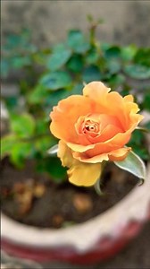 🌙 Heart-Touching Dua | Soulful Islamic Poetry | Miss Zahra Creativity