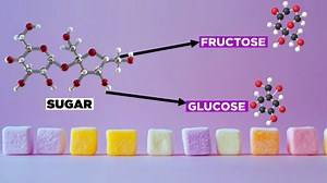 Health 360: Truth behind sugar-free products; India's falling birth rate