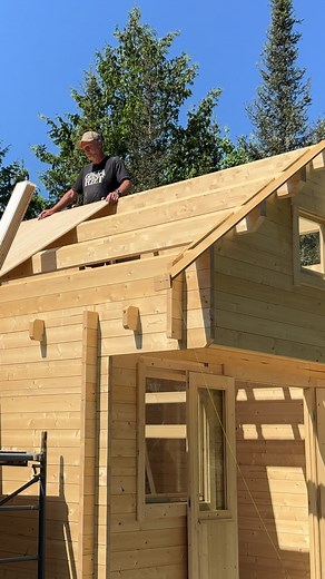 Building off-grid cabin in the woods pt.7 #forestlife #offgridcabinbuild #offgridcabinlife #cabinbuild #cabinbuilding #offgridliving #cabinlife #diyproject #cabininthewoods #lifeinthewoods