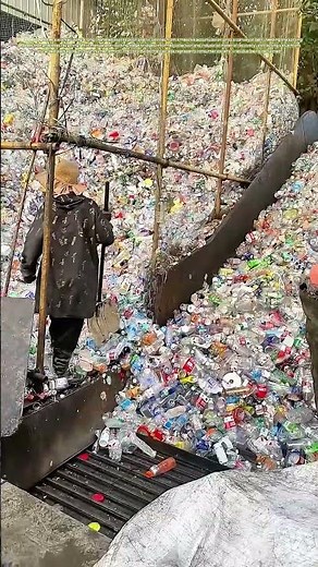 Sorting Streams: How Manual Labor Separates Plastic Waste for Recycling Recovery