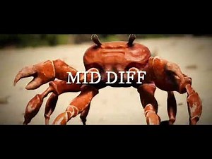 mid diff crab