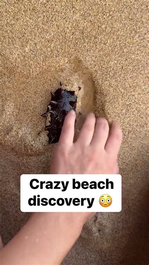 Crazy beach discovery #shots