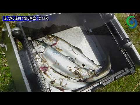 湯ノ湖と湯川で釣り解禁 奥日光