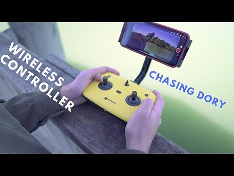 CHASING DORY CONTROLLER SET UP 2020