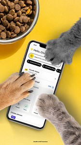 You don’t pay full price for your meds, so don’t do it for your pet’s. Check GoodRx before every trip to the pharmacy for exclusive savings on pet prescriptions. Your furry friends (and wallet) will thank you. 🐾 | GoodRx
