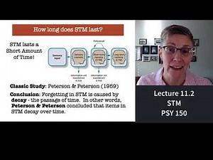 150 Lecture 11.2 Short-Term Memory
