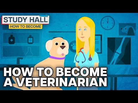 How to Become: A Veterinarian