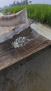 Fishing techniques using traditional fishing gear | RMB Fishing