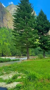 7.7M views · 659K reactions | Kumrat valley right now get a stunning tour package for kumrat kalam etc 03249155527 #kumrat #kalam #swat | Kumrat Valley | Facebook