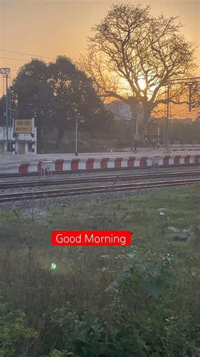 Good morning #trending #1million #diy #travel #viral #automobile #sunrise #horse #fog #train #god