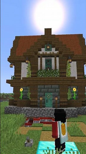 How to Kill Evoker Correctly........ Minecraft #minecraft