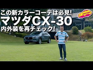 この新カラーコーデ必見！ マツダCX-30の内外装を再チェック！