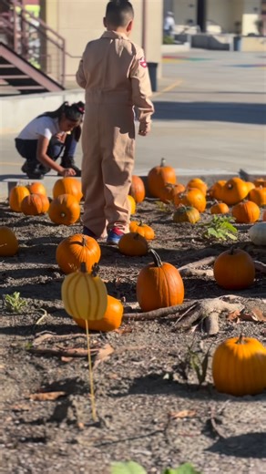 SAUSD Department of Nutrition Services on Instagram: "Orange County partners and community coming together to learn about seed, science, language, and story behind our food!!!!#farmtoschool fantastic collaboration with @ucsouthcoast @ucanr and @earthroots_field_school to provide standards aligned hands on food education. #sausdbettertogether #wearesausd #sausdgraduateprofile #sausd #schoolnutrition #thefuturestartshere #studentlearning #farmtoschool"