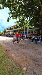 15K views · 241 reactions | Horse racing ng Matagoan Festival 2025. #challenge #horses #horseracing | Edwin Brix Joson Tubban | Facebook