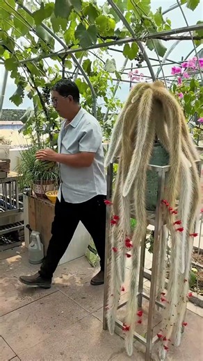 A self sufficient farmhouse courtyard, growing vegetables, raising chickens