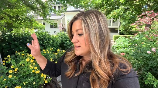 267K views · 7.5K reactions | Boxwoods in the Cut Flower Garden  & Planting the flower Topiary!  | Garden Answer | Facebook