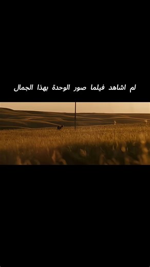Screenvibes21 on Instagram‎: "فيلم Into the Wild (2007) هو دراما مستوحاة من قصة حقيقية، يروي رحلة الشاب كريستوفر ماكاندلس الذي تخلى عن حياته المريحة بعد تخرجه من الجامعة، وتبرع بكل مدخراته، وانطلق في مغامرة عبر الولايات المتحدة وصولًا إلى براري ألاسكا. الفيلم من إخراج شون بين، ويقدّم رؤية عميقة عن معنى الحرية، والتمرد على الحياة المادية، والبحث عن الذات في أحضان الطبيعة. الأداء القوي للممثل إميل هيرش، والموسيقى الساحرة التي أعدها إيدي فيدر، يضيفان بعدًا إنسانيًا عميقًا للتجربة، مما يجعل الفيلم ت