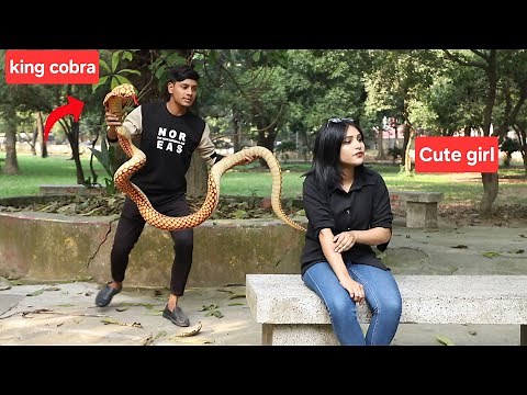 Ultimate Funny Pranks Compilation 2024 | The Best Reactions and Gags! | Dhamaka Furti