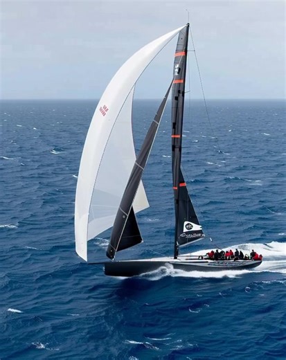 "Sailing into the weekend, where the only thing tacky is the salesman's outfit." #fblifestyle #sailingandyatch #sailing #sealife #boating | Sea Life