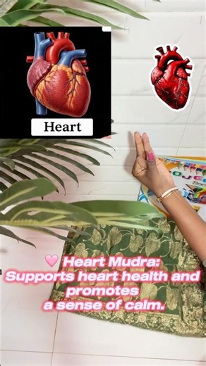 Heart, Lungs, Liver & Kidney Mudra Benefits | 4 Powerful Healing Mudras for Daily Health #shorts