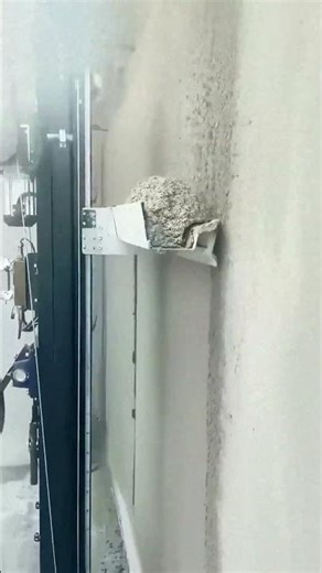 Automated Plastering Equipment Demo