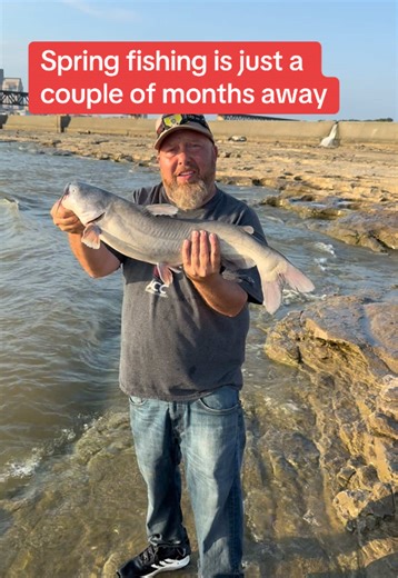 During spring and early summer so many species move towards the Ohio River dams to feed up before spawning. Blue catfish being one of them. I plan on doing more catfishing this year to try to catch some river monsters #catfishing #bluecatfish #riverfishing #ohioriverfishing #saugerfishing