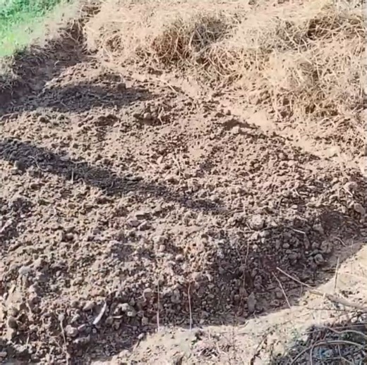 The difficult life of a single mother and child every day | Angela Coleman