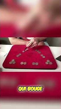 Pyramide de Ponzi 😱 L'arnaque Éclairée! 💡